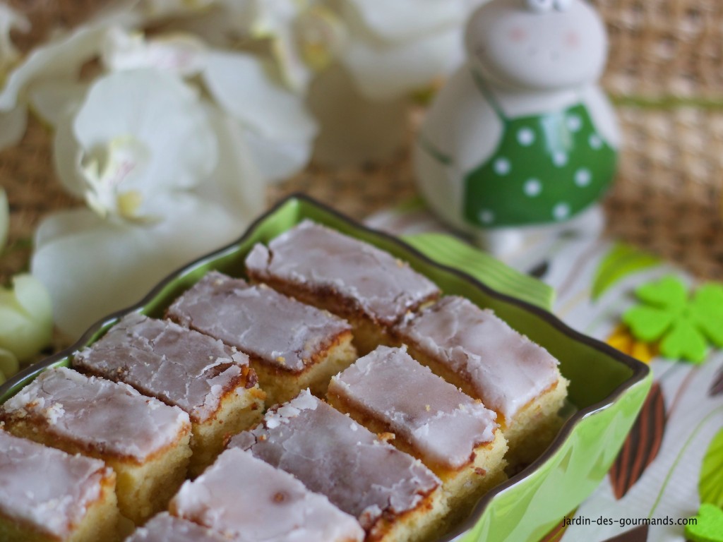 petits gateaux citron chocolat S2_0