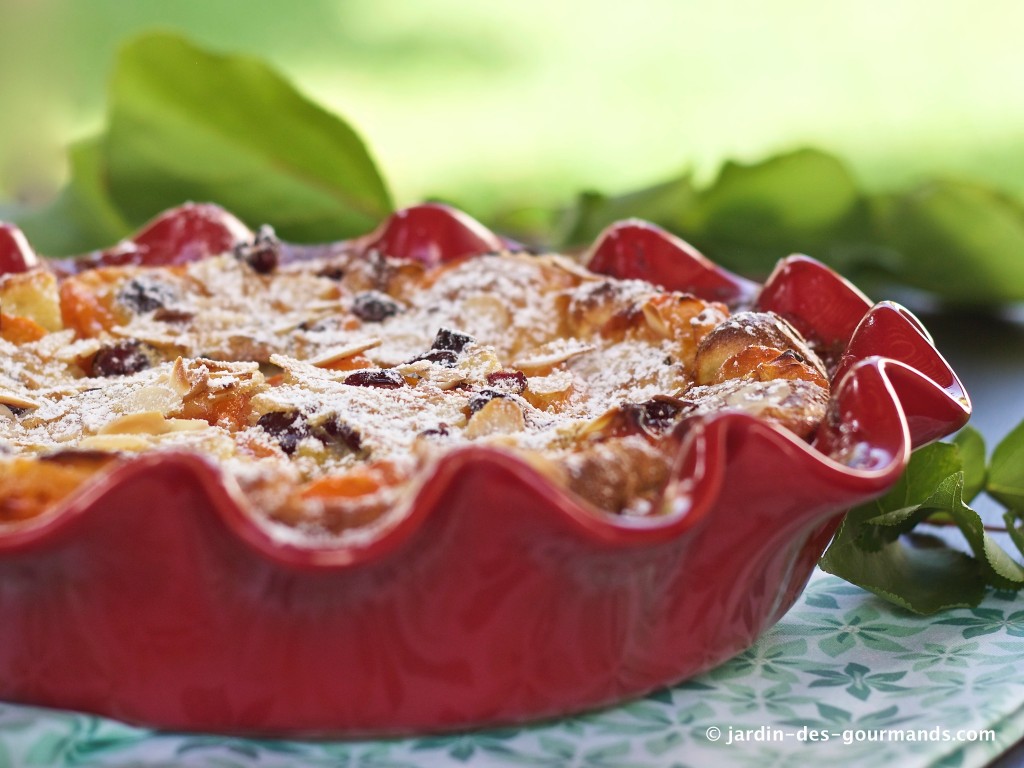 clafoutis aux abricots 4