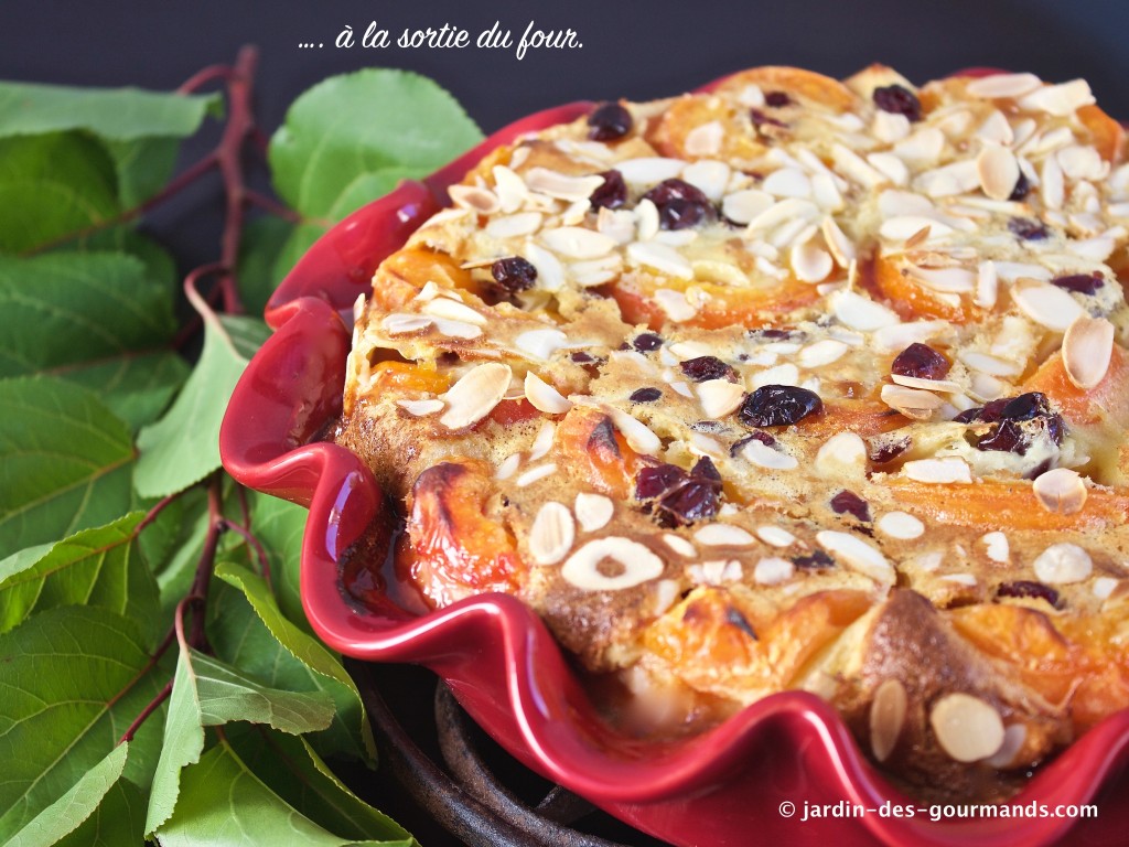 clafoutis sortie four_2