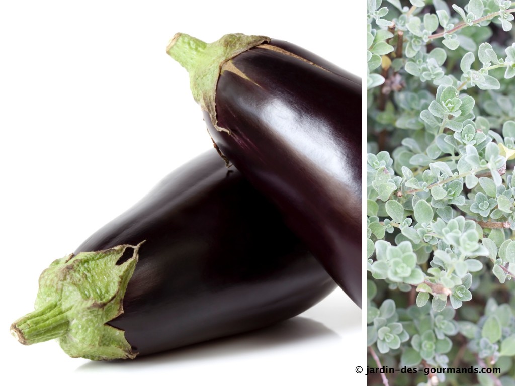 aubergines