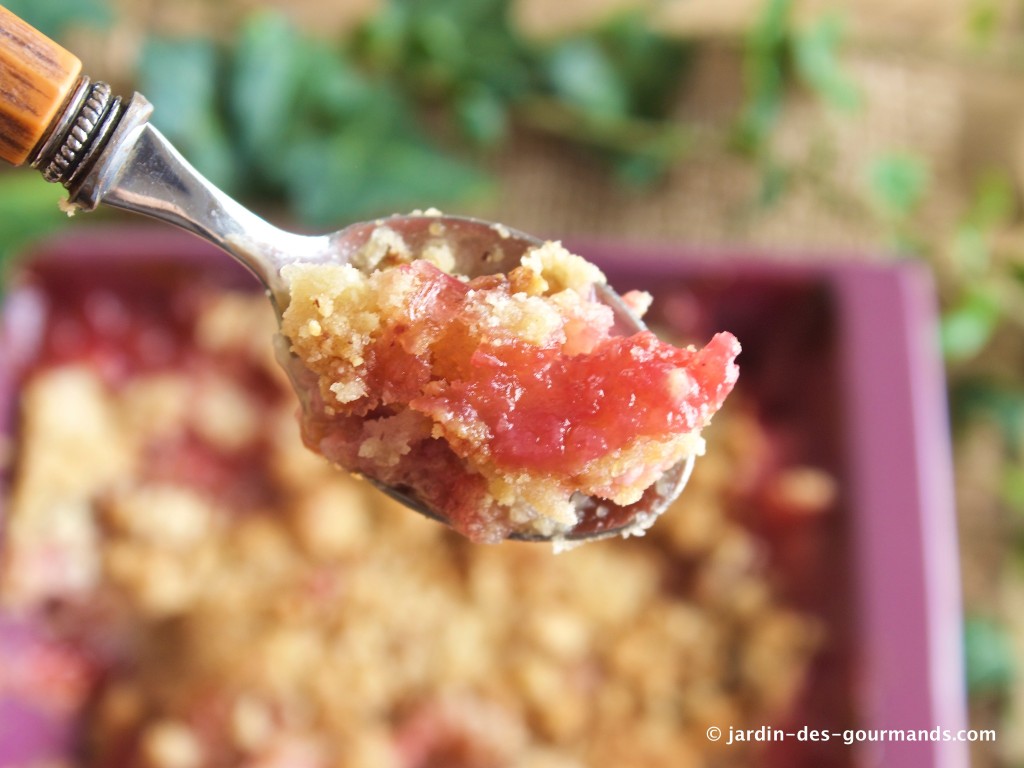 CRUMBLE aux prunes 10