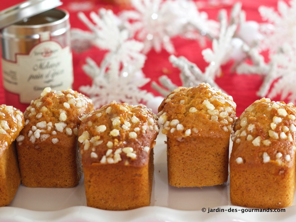 Pain d'épice et gourmandise de noel - Fond vert