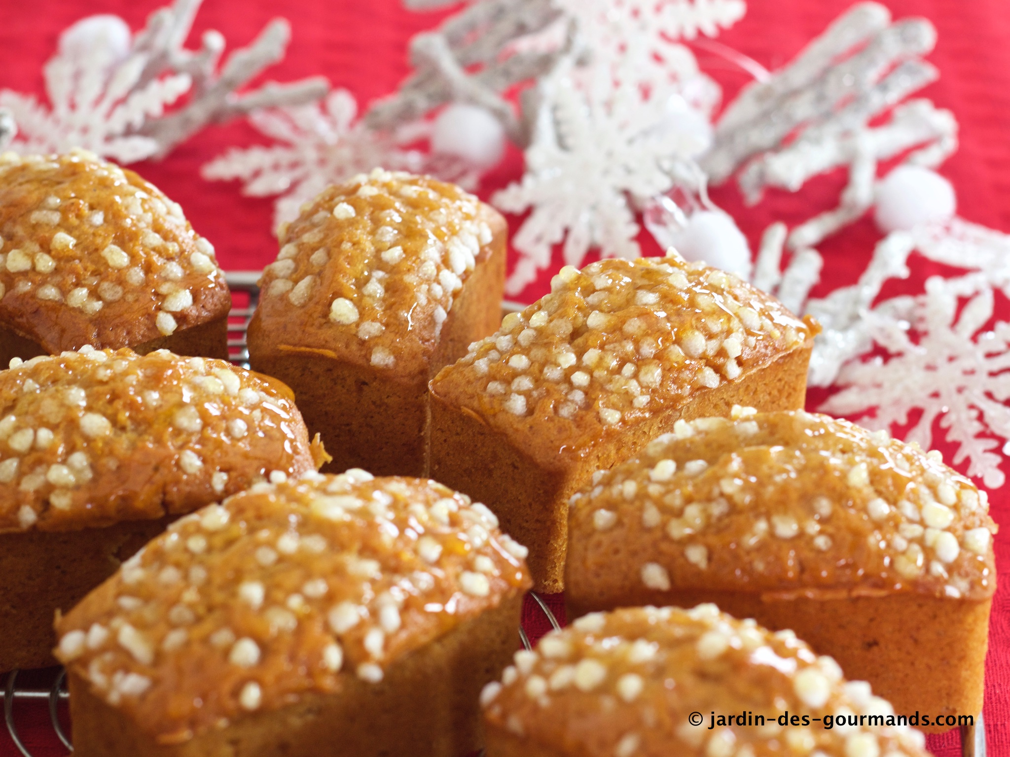 Pain d'épice et gourmandise de noel - Fond vert